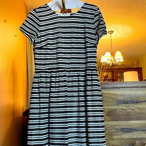 Ann Taylor knit dress